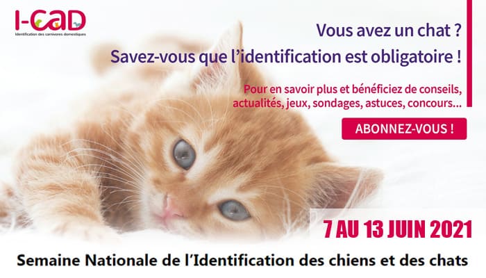 Semaine Nationale de l’Identification des chiens et des chats