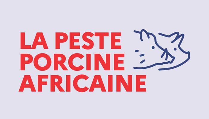 You are currently viewing Vigilance peste porcine africaine