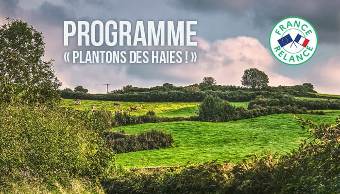 You are currently viewing Programme « Plantons des haies ! »