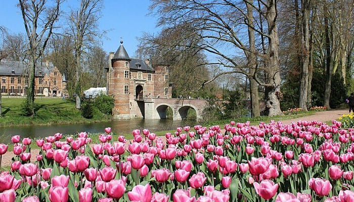 Sortie Floral de tulipes 2023 à Bruxelles